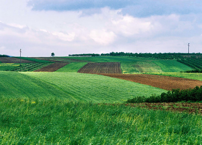 photo "Lanscape from Serbia" tags: landscape, 