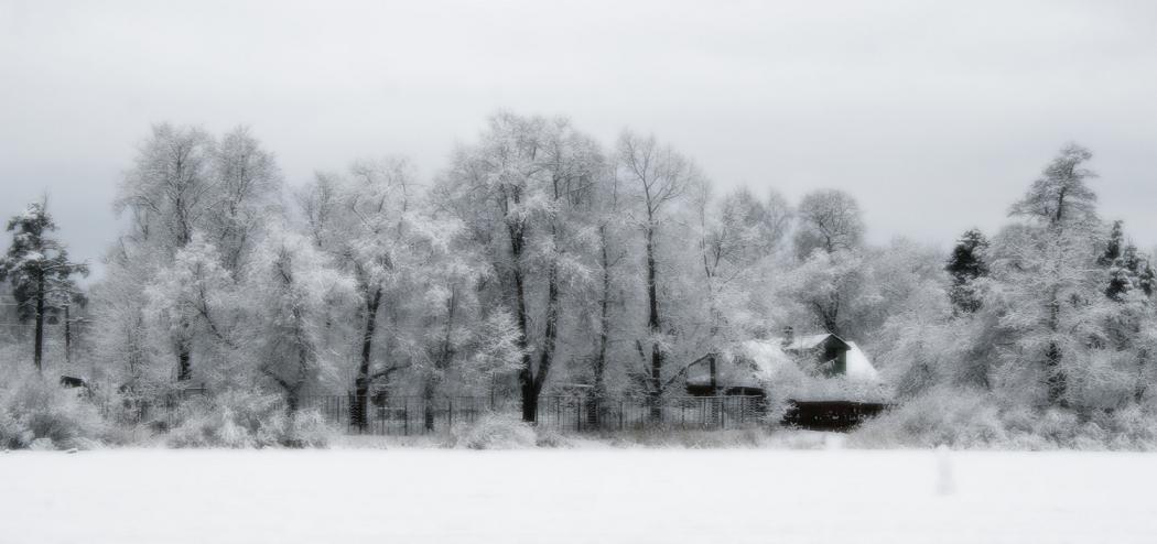 photo "***" tags: landscape, forest, winter