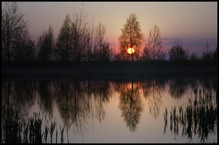 photo "Lost in the woods..." tags: landscape, sunset