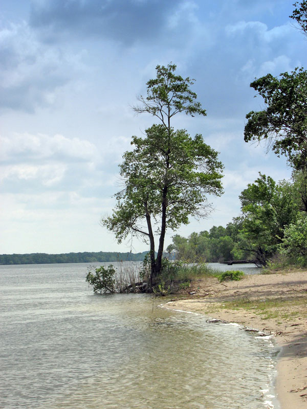 photo "***" tags: landscape, spring, water