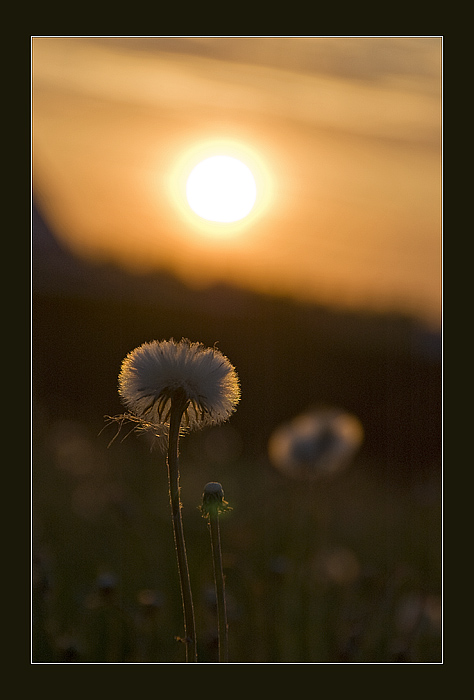 photo "***" tags: landscape, sunset