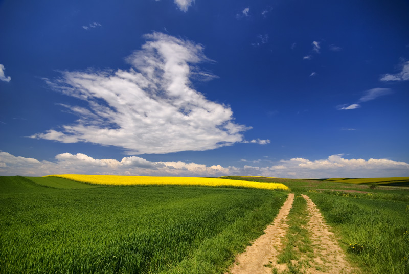 photo "move..." tags: landscape, clouds