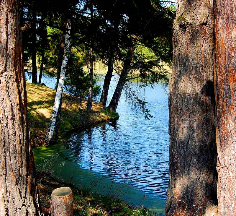 фото "Голубая заводь" метки: пейзаж, вода, лес