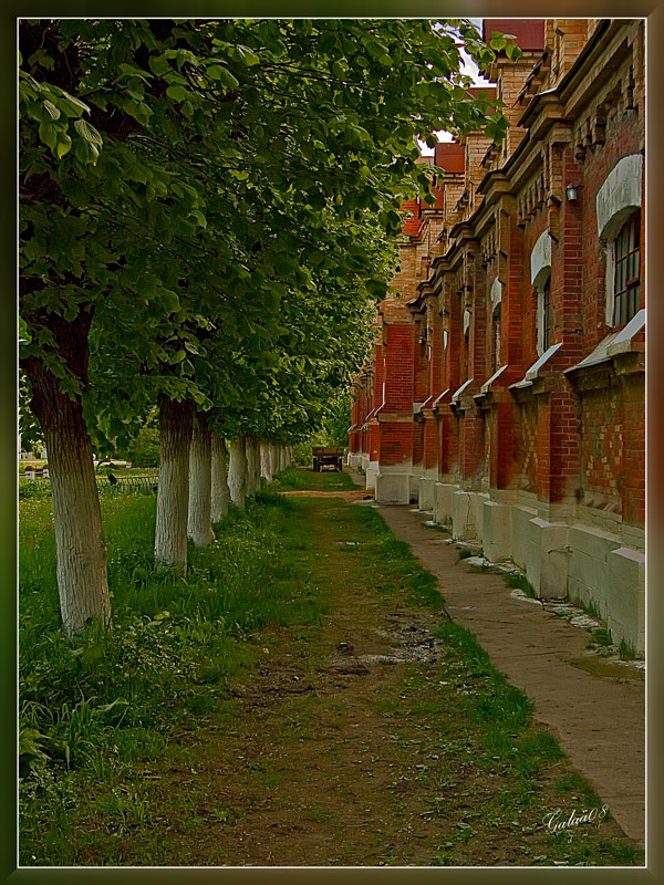 photo "The avenue" tags: landscape, architecture, spring