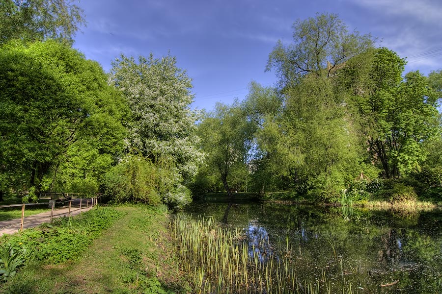 photo "." tags: landscape, forest, water