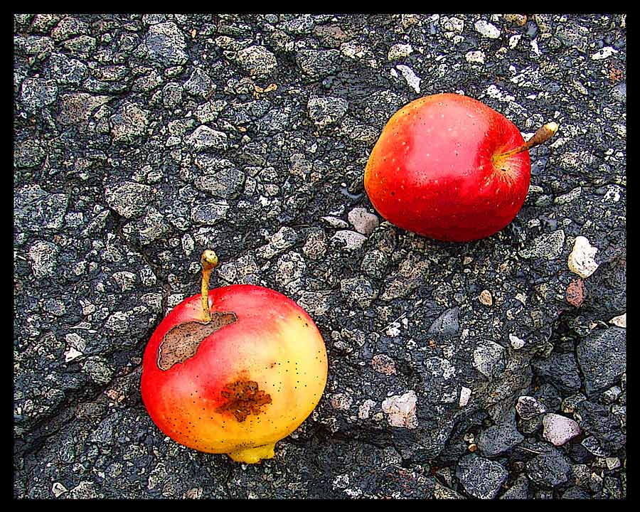 photo "Apples" tags: still life, 