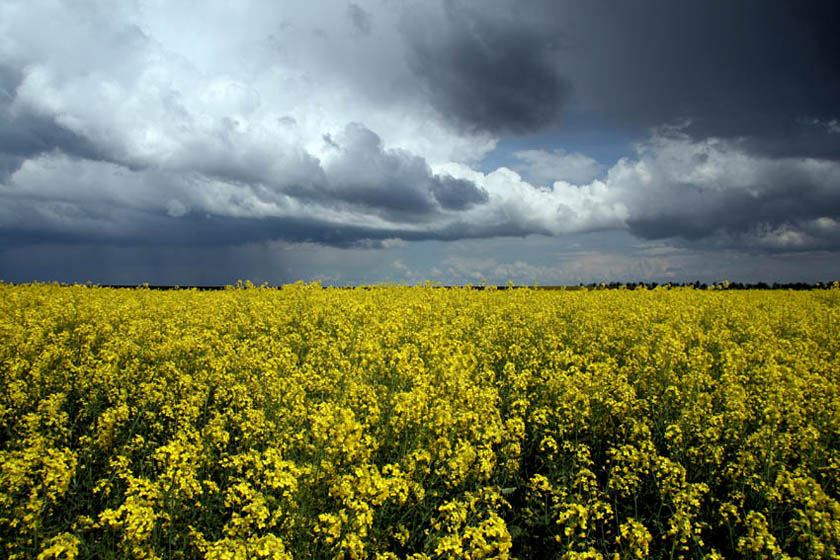 photo "***" tags: landscape, spring