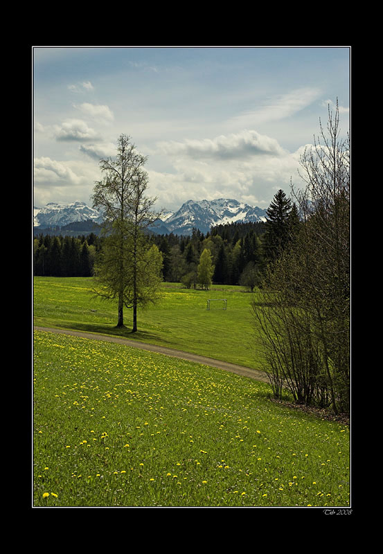 photo "Spring_1" tags: , 