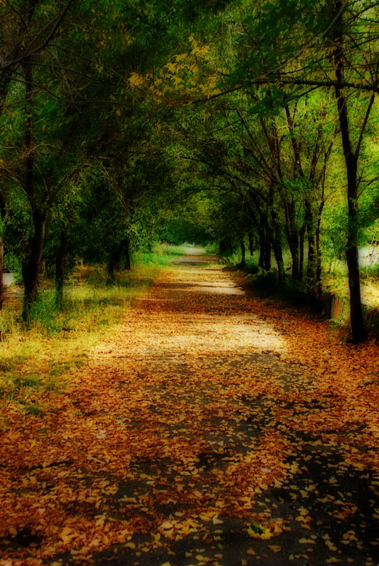 фото "тропа забвения" метки: пейзаж, осень