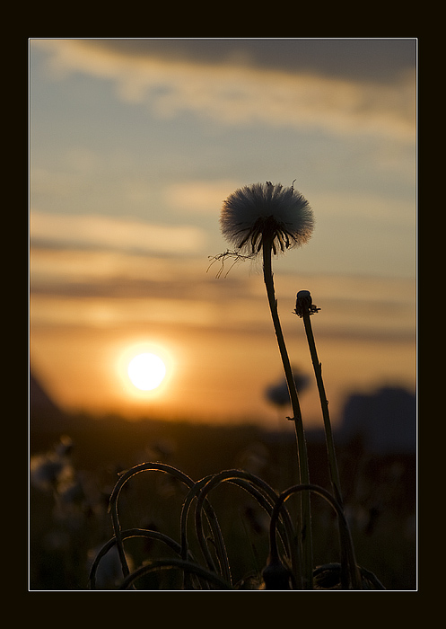 photo "***" tags: landscape, sunset