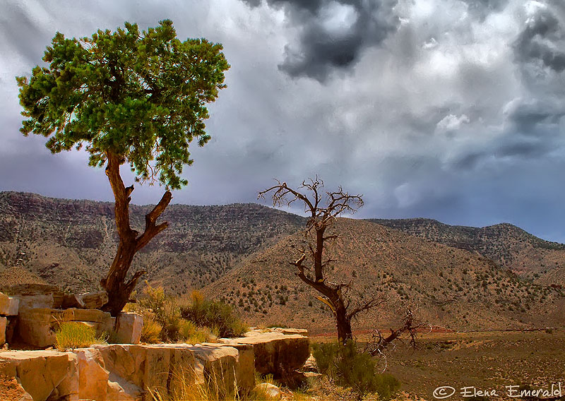 photo "two destinies" tags: landscape, travel, North America