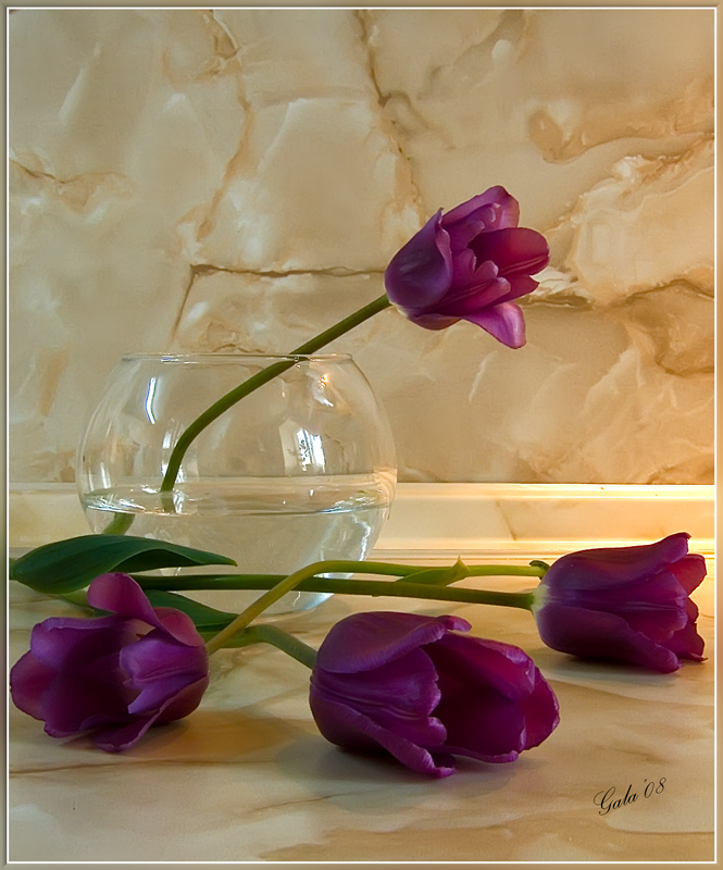 photo "One and three" tags: still life, nature, flowers
