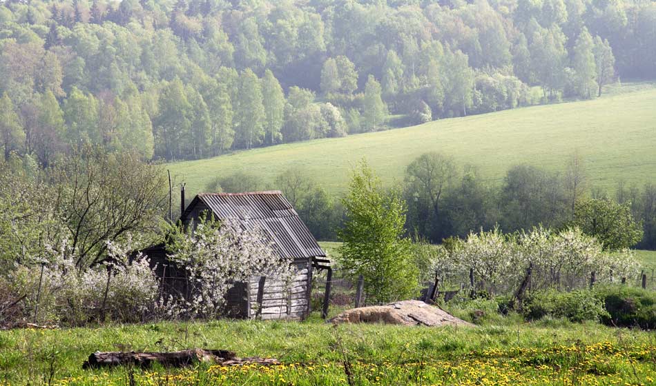 photo "***" tags: landscape, spring