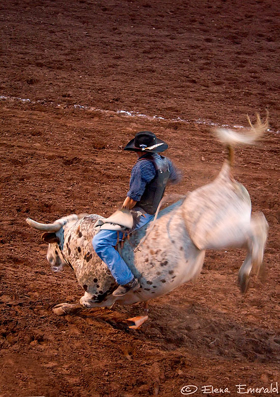 photo "rodeo" tags: genre, travel, North America
