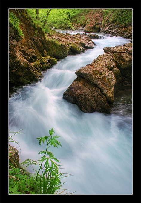 фото "Vintgar" метки: пейзаж, 