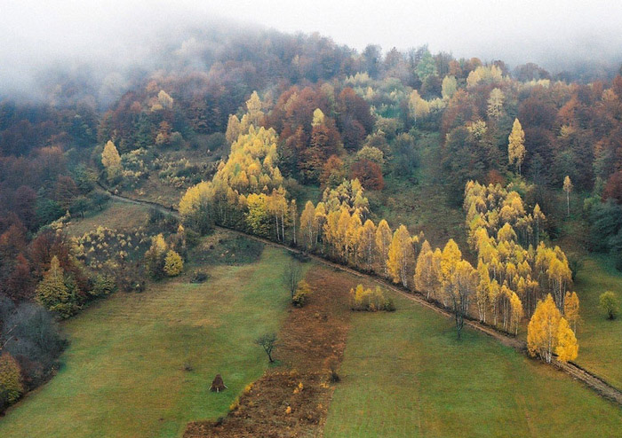 photo "Village road (Autmn version)" tags: landscape, 