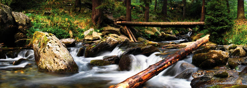 photo "River" tags: landscape, panoramic, water