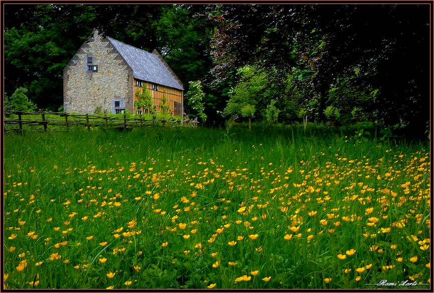 photo "farmhouse between flowers" tags: landscape, nature, flowers, spring