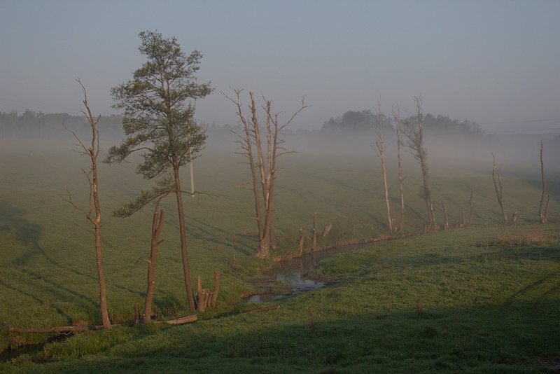 photo "***" tags: landscape, spring