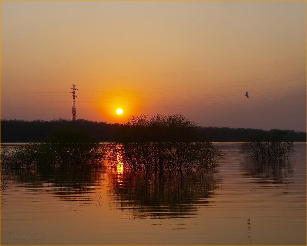 photo "***" tags: landscape, sunset, water