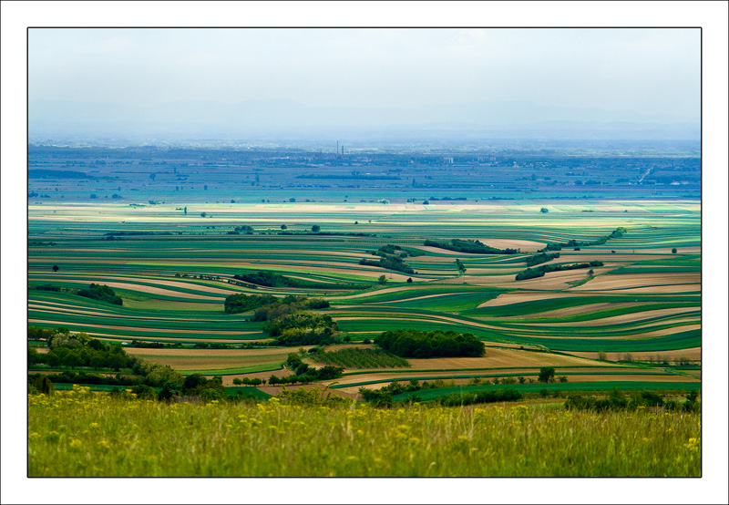 photo "Fruska Gora - Serbia" tags: landscape, mountains