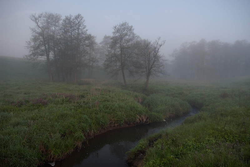 фото "Речка в тумане." метки: пейзаж, весна, вода