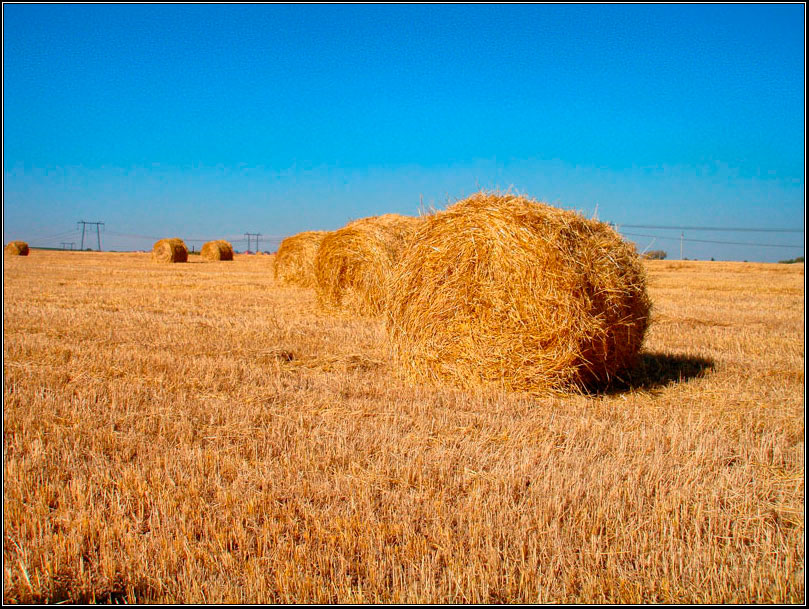 фото "haystacks" метки: пейзаж, осень