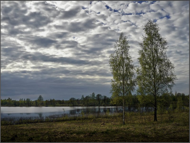 photo "Together it's not terrible" tags: landscape, spring