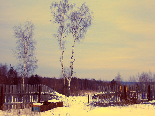 photo "Russian" tags: landscape, winter