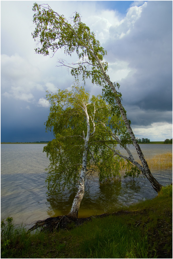 фото "Драма # 2" метки: пейзаж, 