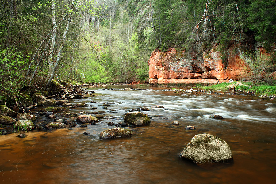 photo "* * *" tags: landscape, forest, water