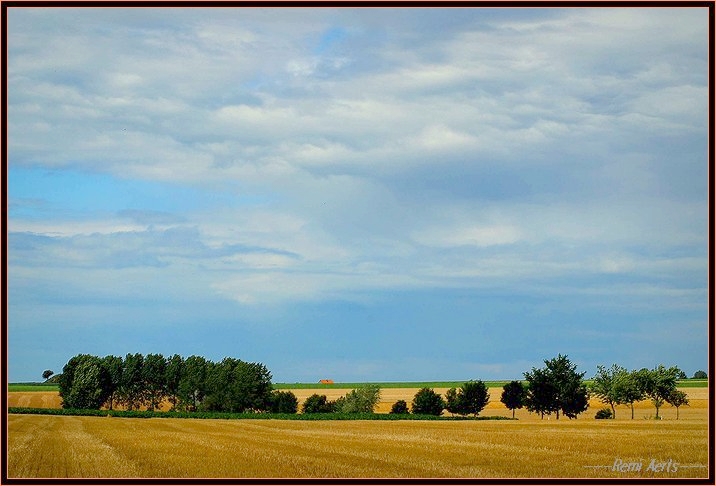 photo "green,green gras off home" tags: landscape, travel, spring