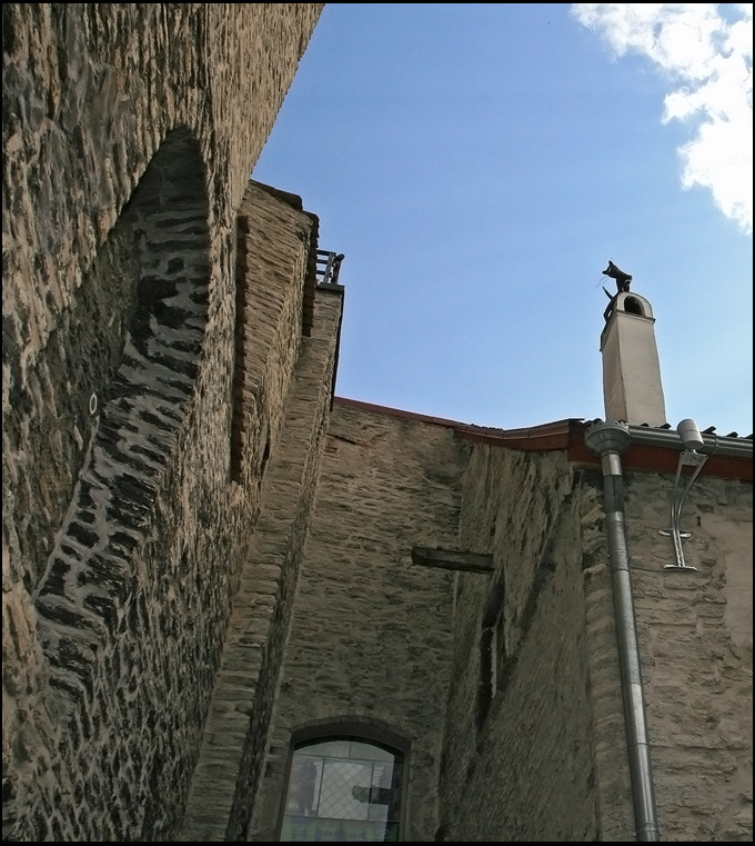 photo "Spring In Old Tallinn. About a cat." tags: architecture, travel, landscape, Europe
