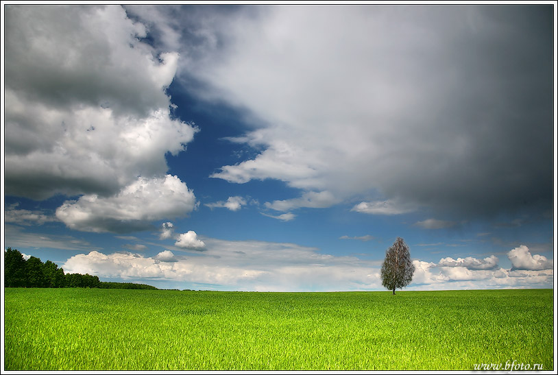 photo "Лето фото пейзаж, фотография лета" tags: landscape, clouds, summer