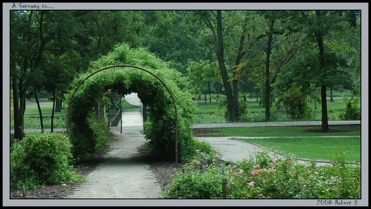 photo "A Gateway to..." tags: landscape, nature, flowers