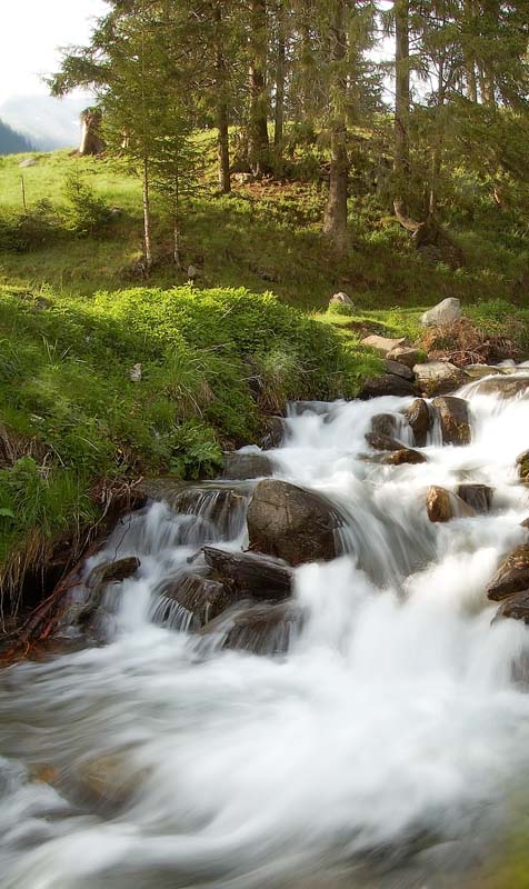 photo "in the woods" tags: landscape, forest, water