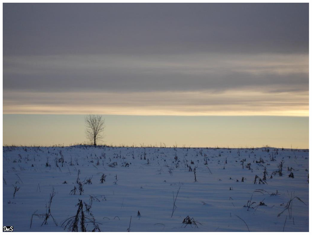 photo "***" tags: landscape, winter