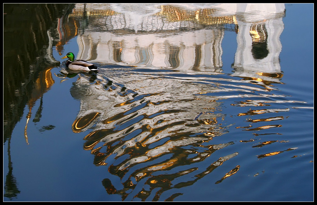 photo "Gold mirror" tags: , 