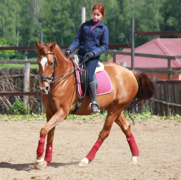 фото "***" метки: спорт, 