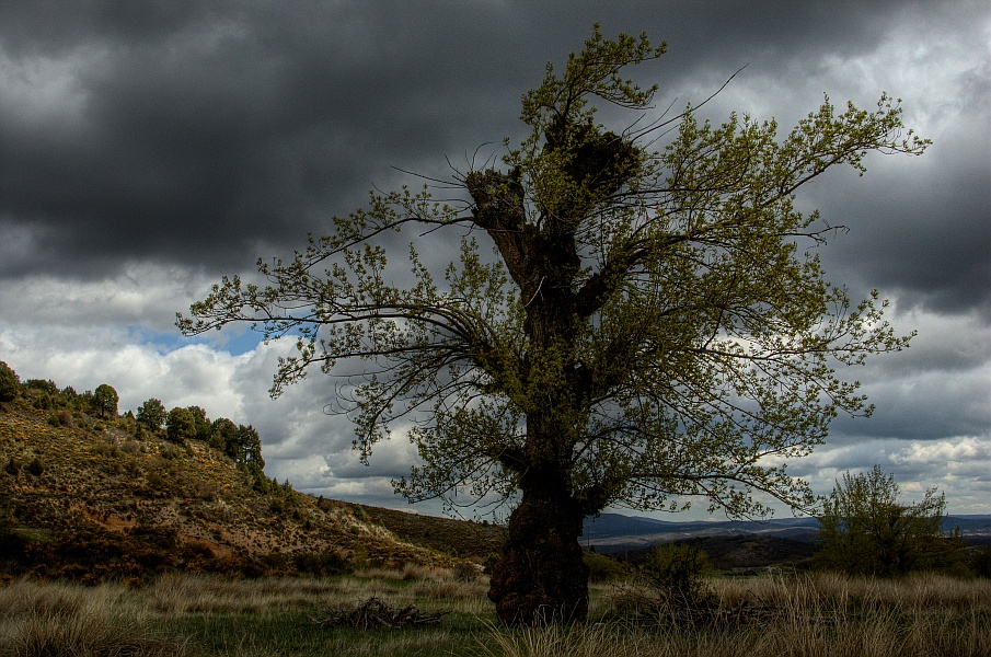 photo "Alone" tags: landscape, mountains