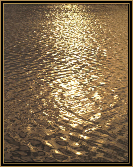 фото "flood" метки: пейзаж, вода