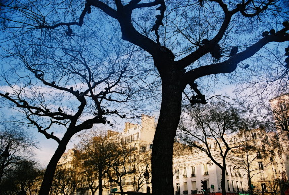 photo "tree.s talk" tags: landscape, travel, Europe