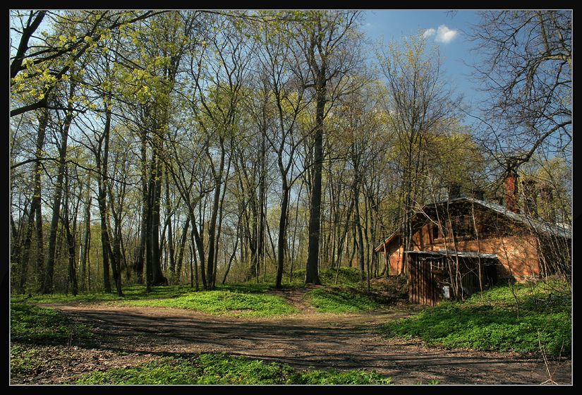 фото "Первая зелень" метки: пейзаж, весна, лес