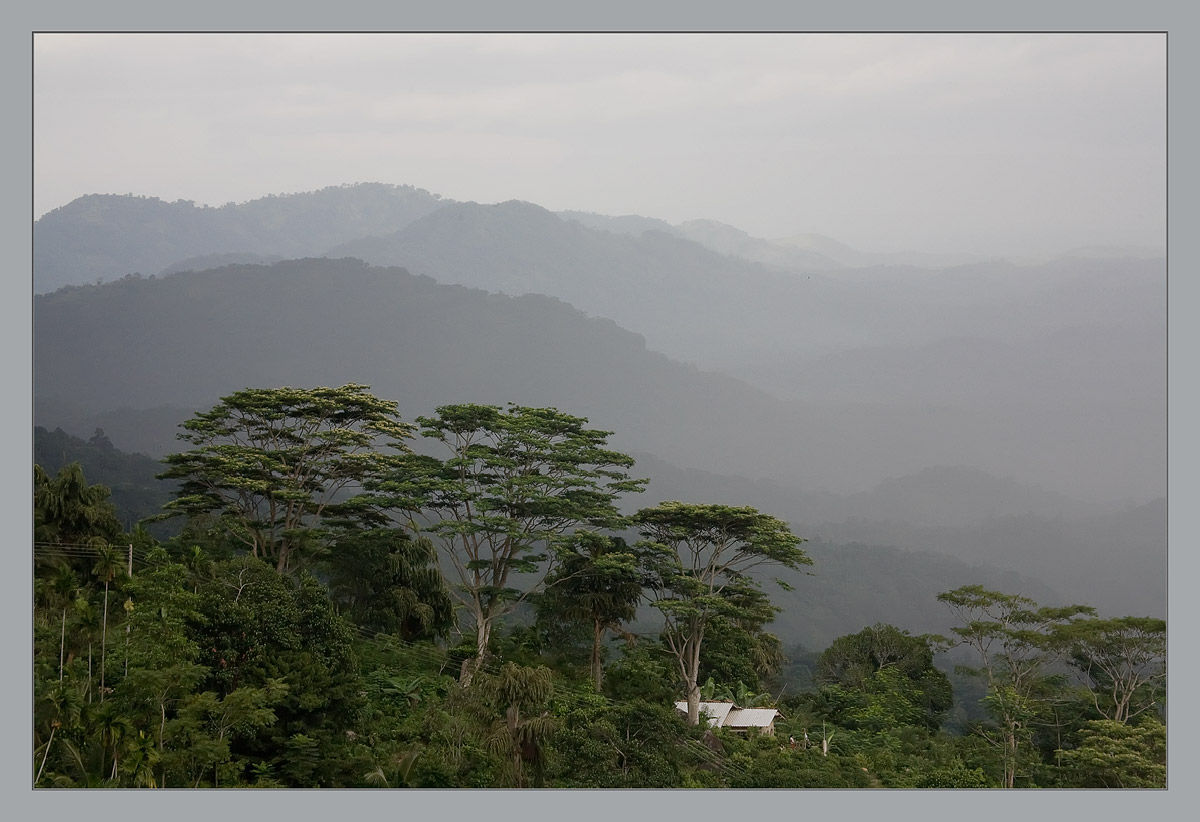 photo "***" tags: landscape, forest, mountains