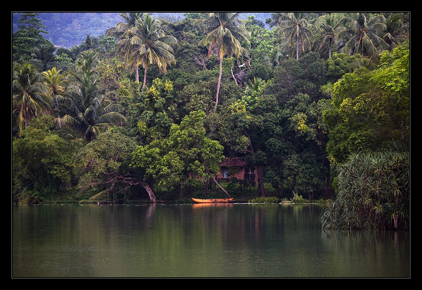 photo "***" tags: landscape, forest, water