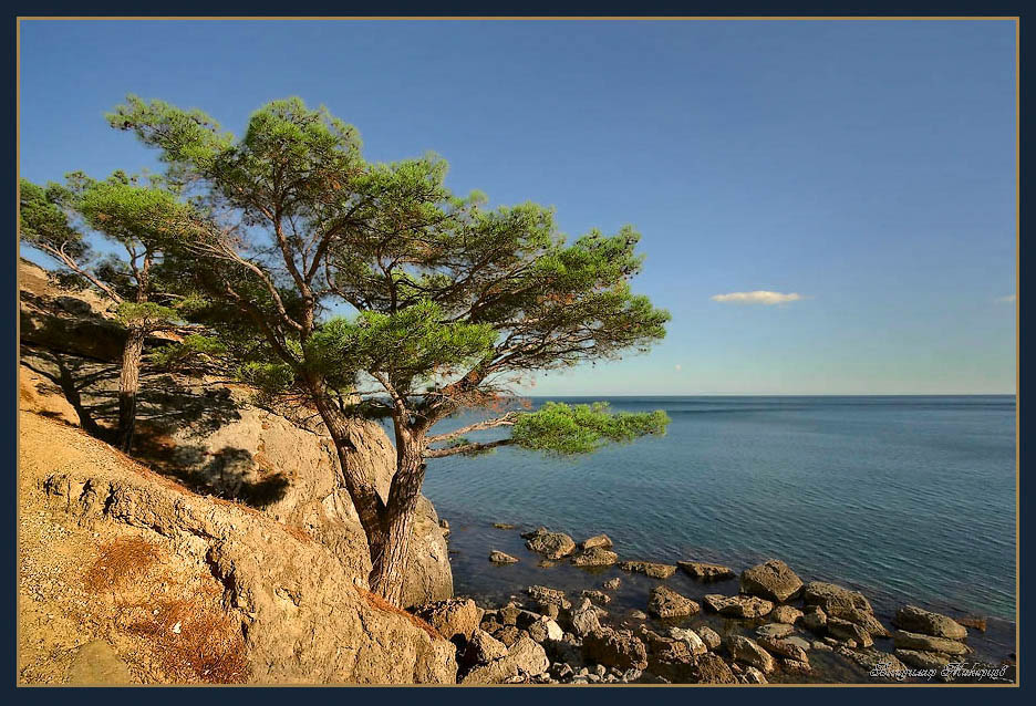 фото "Крымские сосны" метки: пейзаж, вода