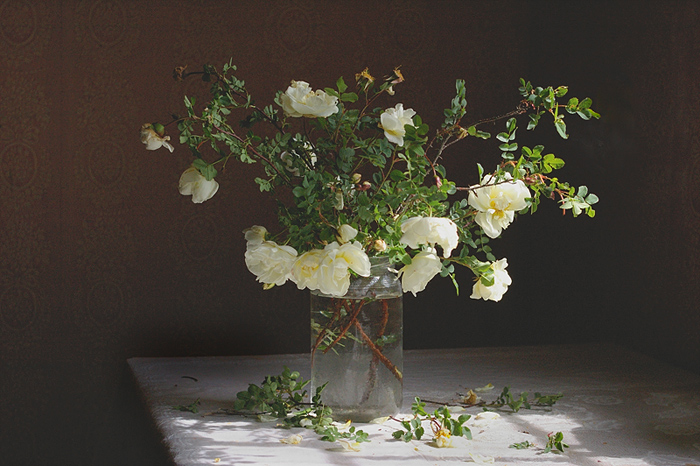 photo "***" tags: nature, still life, flowers