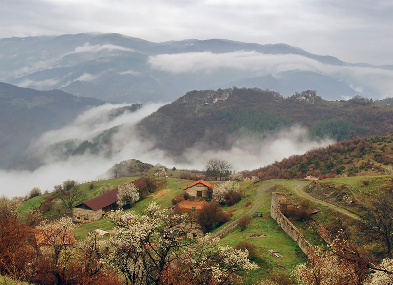 photo "***" tags: landscape, spring