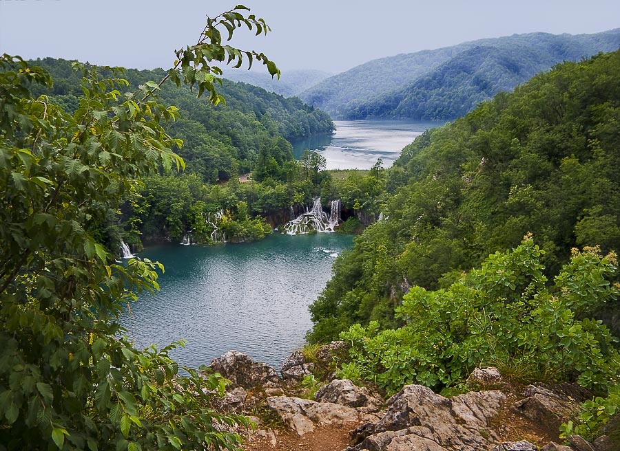 photo "." tags: landscape, forest, water