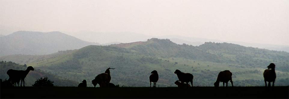 photo "***" tags: landscape, nature, mountains, pets/farm animals